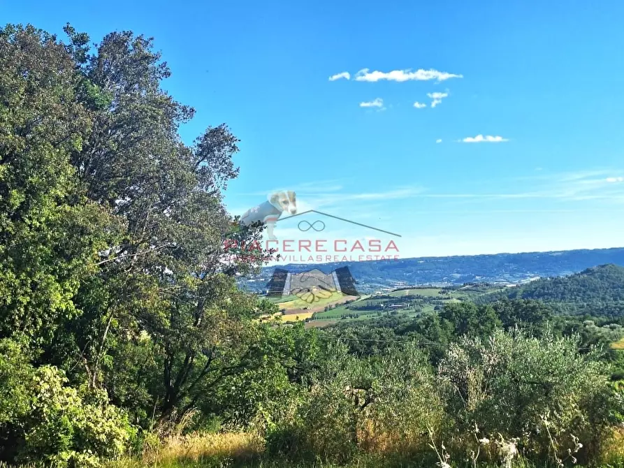Immagine 2 di Casa indipendente in vendita  in 15 minuti da Orvieto a Orvieto