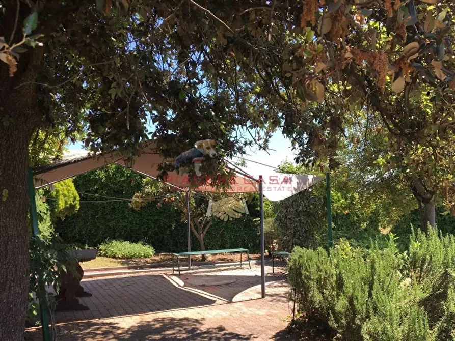 Immagine 4 di Casa indipendente in vendita  in 15 minuti da Orvieto a Orvieto