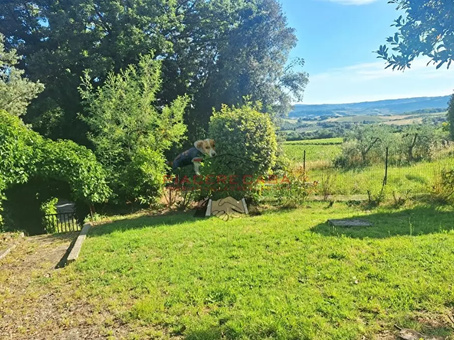 Immagine 3 di Casa indipendente in vendita  in 15 minuti da Orvieto a Orvieto