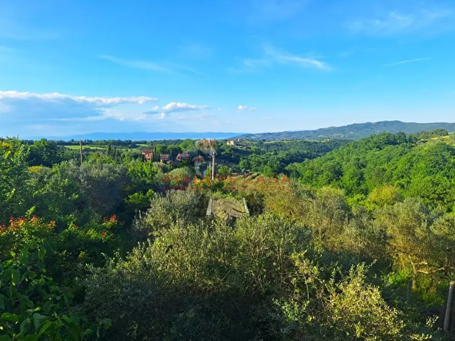 Immagine 21 di Casa indipendente in vendita  in Città della Pieve a Città Della Pieve