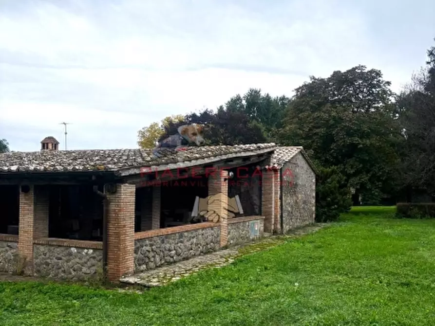 Immagine 4 di Casa indipendente in vendita  in Castel Giorgio a Castel Giorgio