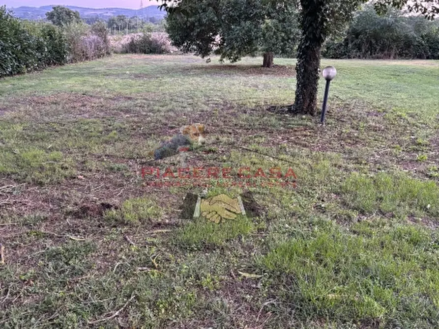 Immagine 3 di Casa indipendente in vendita  in Castel Giorgio a Castel Giorgio