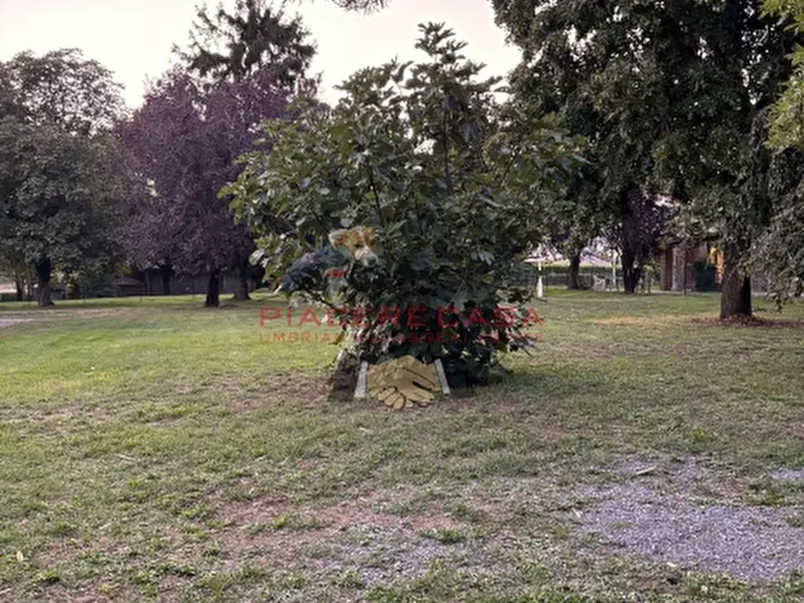 Immagine 28 di Casa indipendente in vendita  in Castel Giorgio a Castel Giorgio