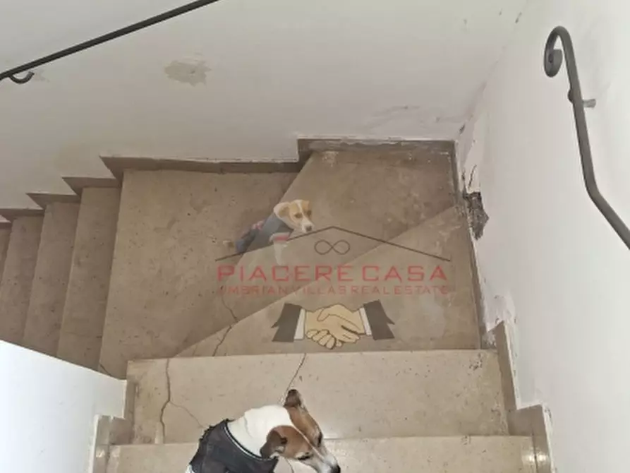 Immagine 16 di Appartamento in vendita  in Orvieto centro storico a Orvieto