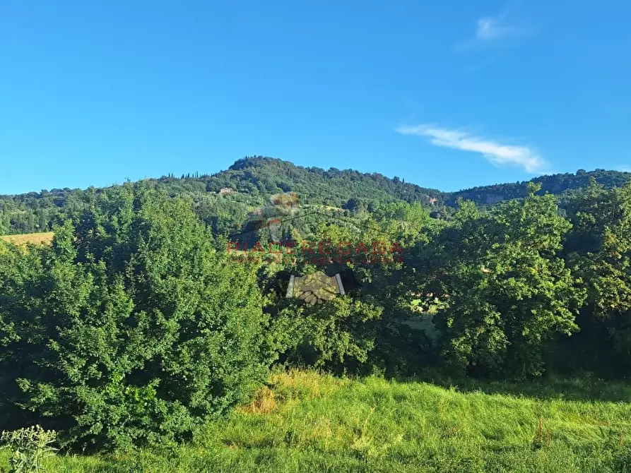 Immagine 24 di Appartamento in vendita  in gabelletta segheria a Orvieto