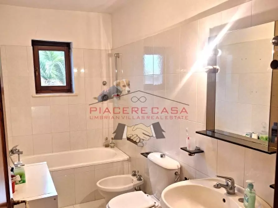 Immagine 6 di Terratetto in vendita  in Monterubiaglio a Orvieto