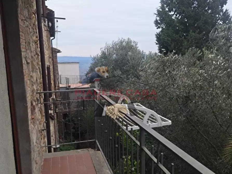 Immagine 10 di Terratetto in vendita  in Monterubiaglio a Orvieto