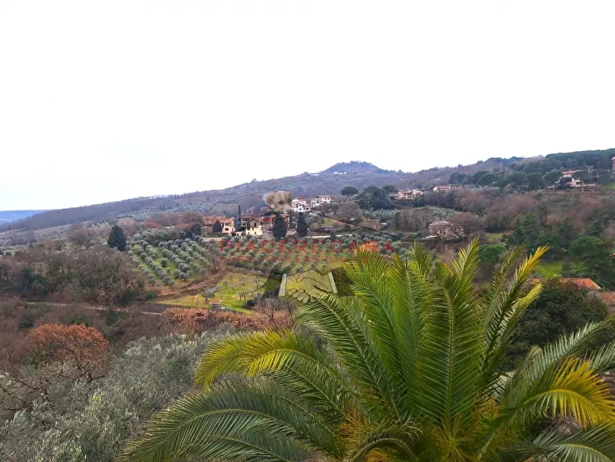 Immagine 14 di Terratetto in vendita  in Monterubiaglio a Orvieto