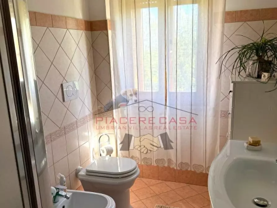 Immagine 23 di Appartamento in vendita  in Porano a Porano
