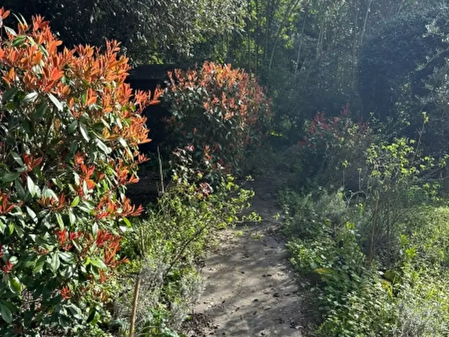 Immagine 7 di Casa indipendente in vendita  in Orvieto centro a Orvieto
