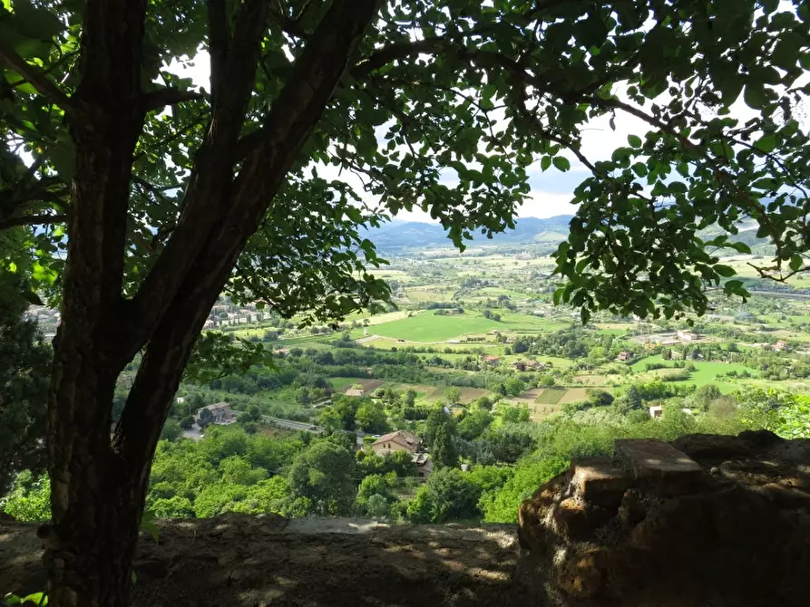 Immagine 4 di Casa indipendente in vendita  in Orvieto centro a Orvieto