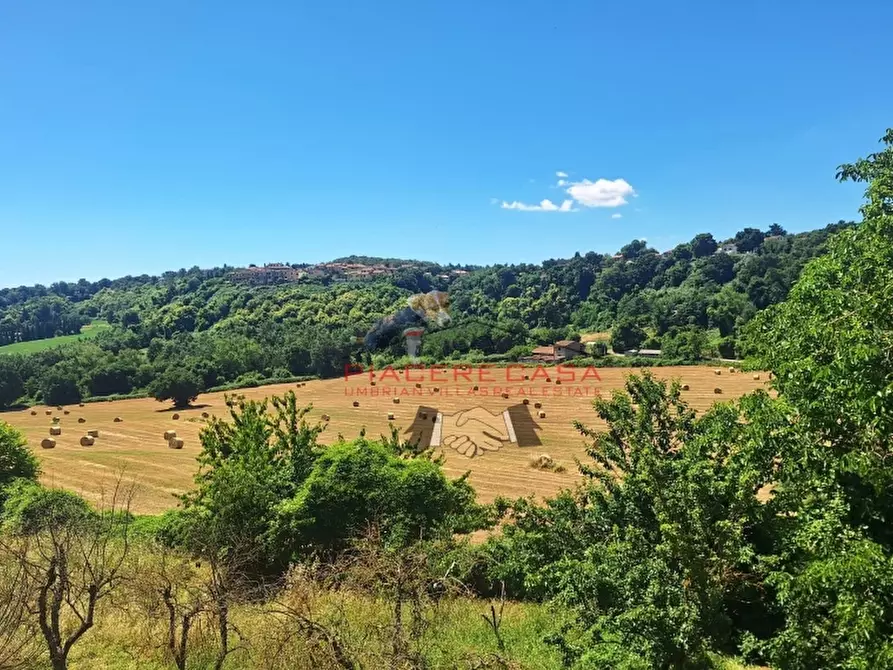Immagine 18 di Appartamento in vendita  in Porano a Porano