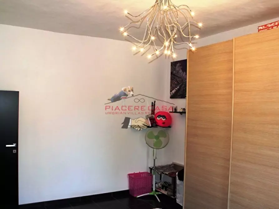 Immagine 15 di Rustico / casale in vendita  in - a Allerona