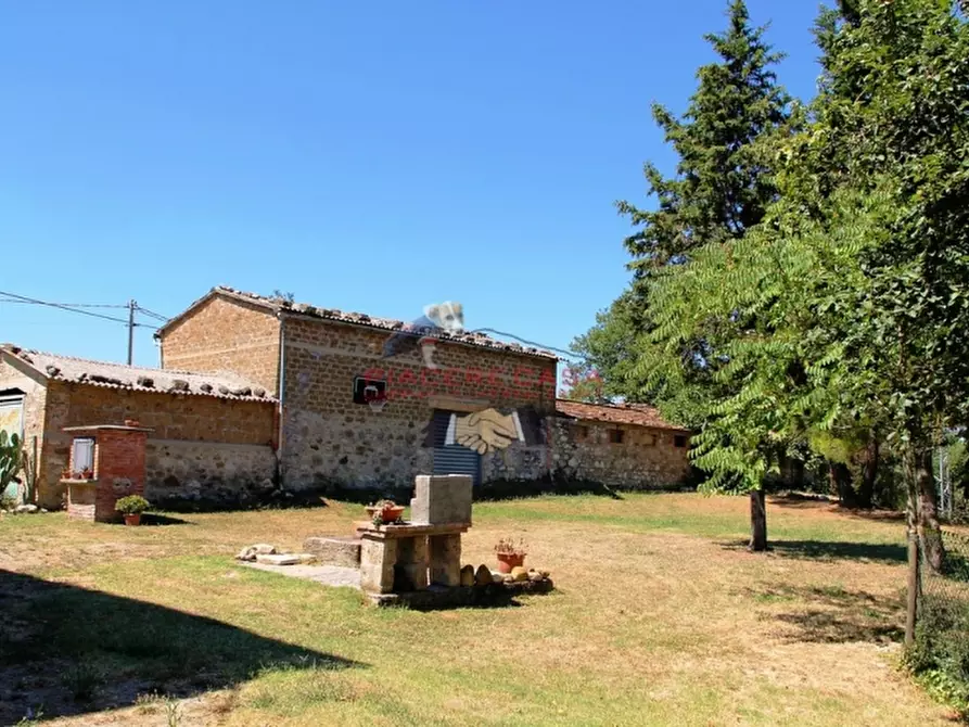 Immagine 7 di Rustico / casale in vendita  in - a Allerona