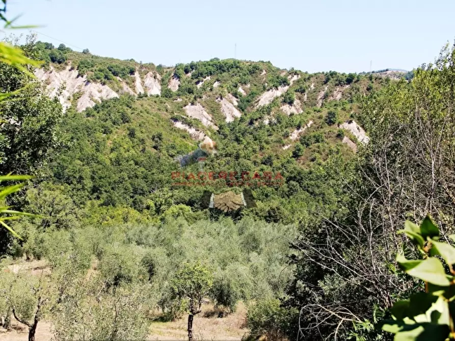 Immagine 3 di Rustico / casale in vendita  in - a Allerona