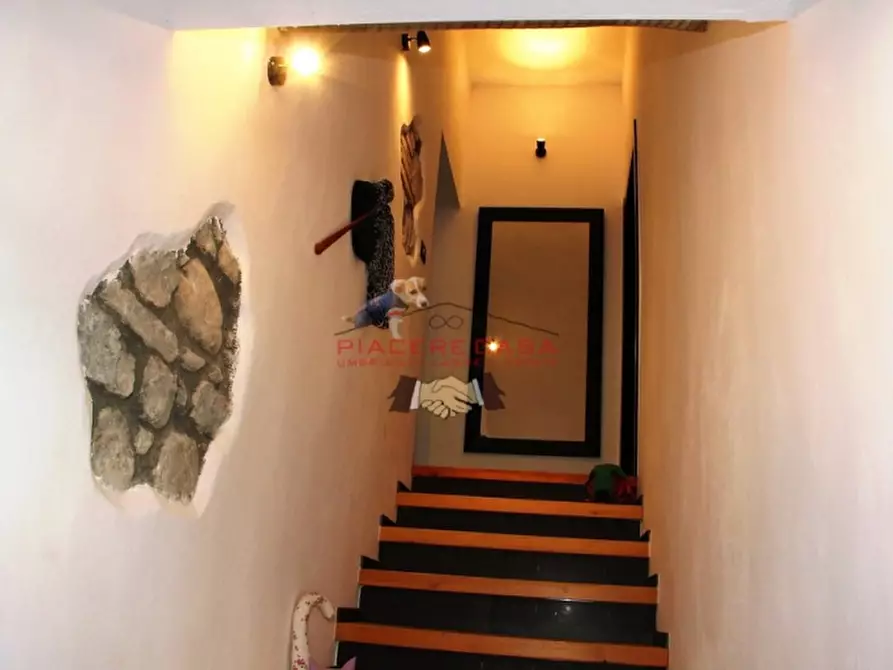 Immagine 9 di Rustico / casale in vendita  in - a Allerona