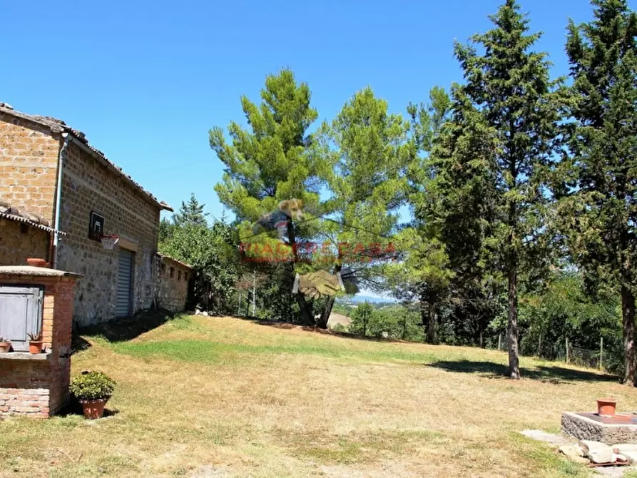 Immagine 27 di Rustico / casale in vendita  in - a Allerona