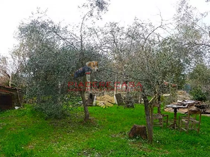 Immagine 4 di Casa indipendente in vendita  in Fossatello a Orvieto