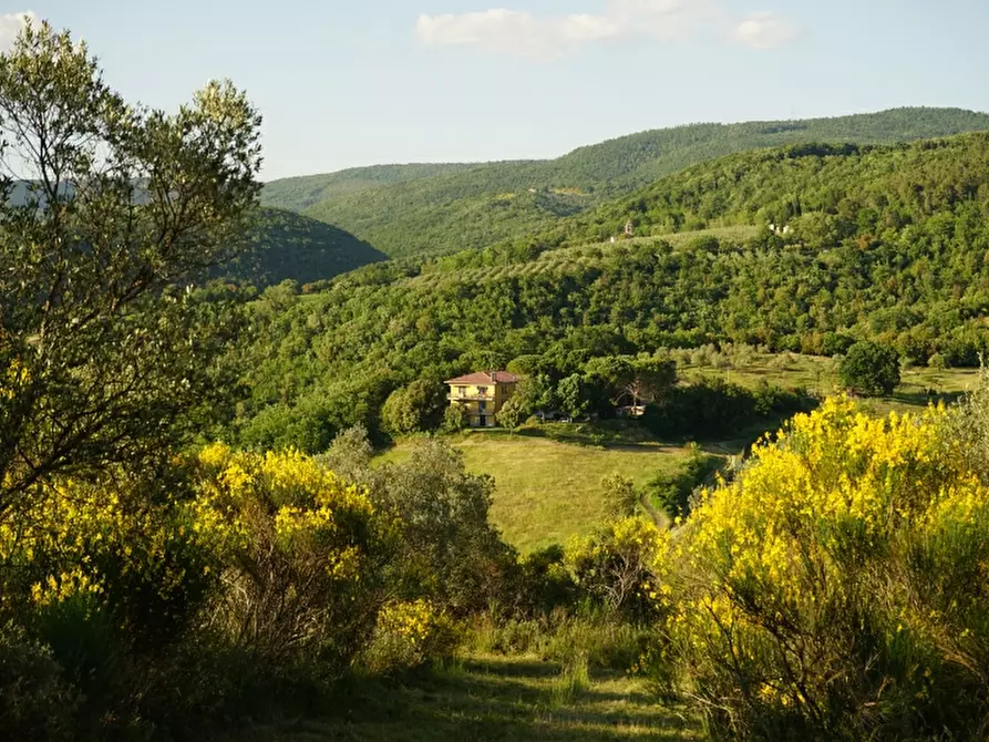 Immagine 5 di Agriturismo in vendita  in - a Orvieto