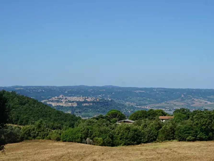 Immagine 2 di Agriturismo in vendita  in - a Orvieto