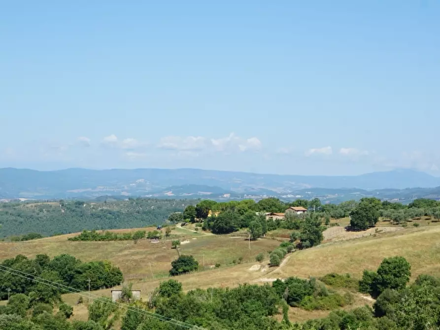 Immagine 3 di Agriturismo in vendita  in - a Orvieto