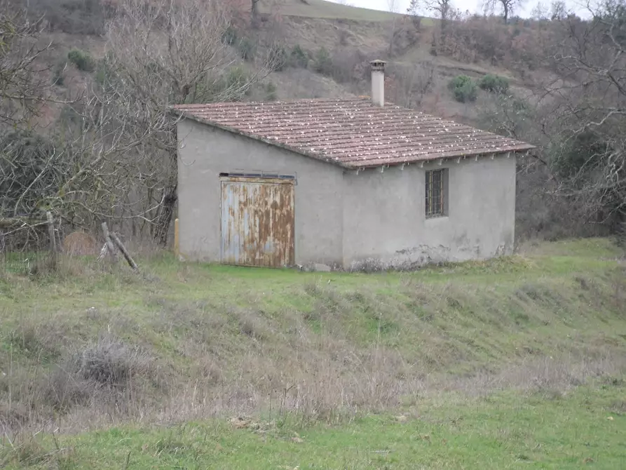 Immagine 10 di Agriturismo in vendita  in - a Orvieto