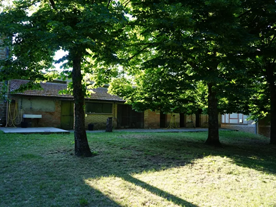 Immagine 7 di Agriturismo in vendita  in - a Orvieto