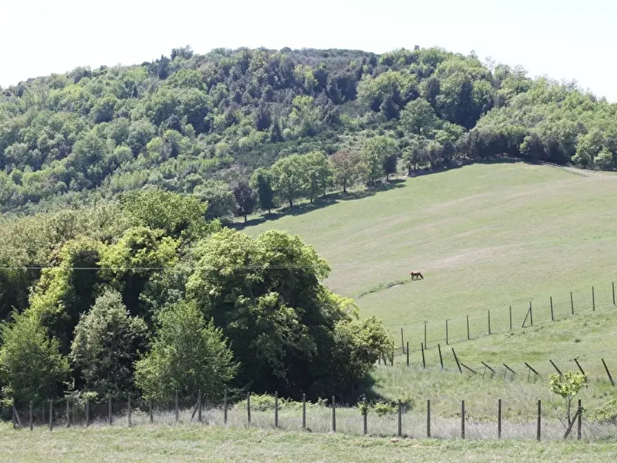 Immagine 18 di Agriturismo in vendita  in - a Orvieto
