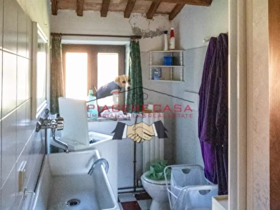 Immagine 28 di Rustico / casale in vendita  in - a Orvieto