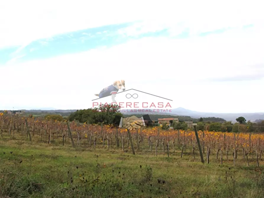 Immagine 17 di Rustico / casale in vendita  in Orvieto a Orvieto