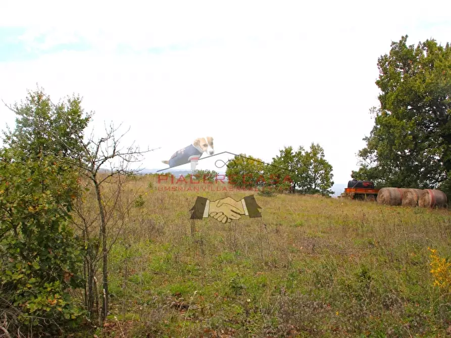 Immagine 19 di Rustico / casale in vendita  in Orvieto a Orvieto