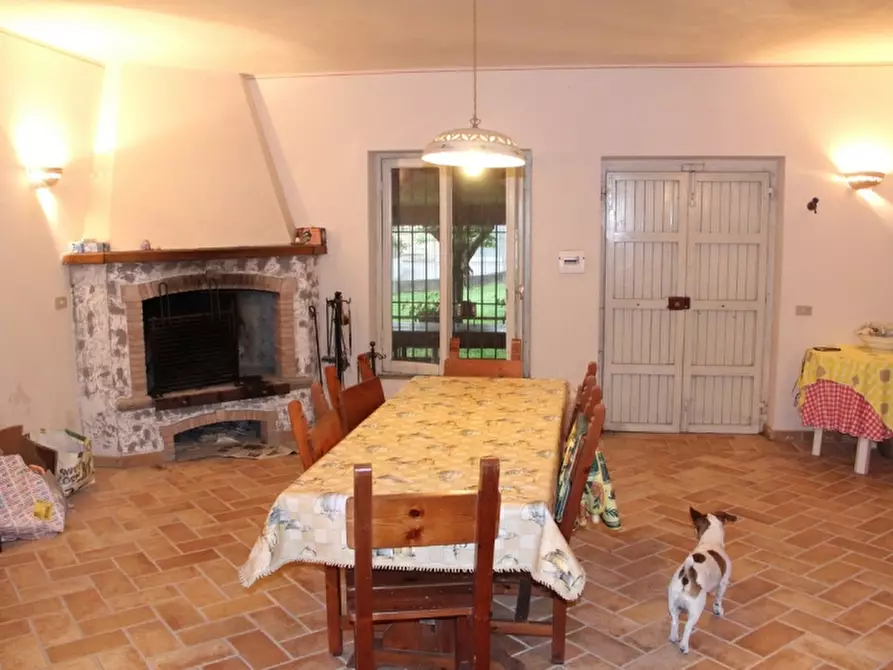 Immagine 7 di Terreno residenziale in vendita  in ciconia a Orvieto