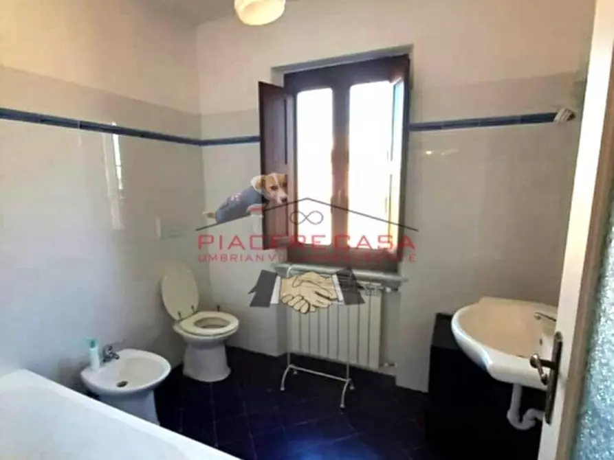 Immagine 5 di Casa indipendente in vendita  in Porano a Porano