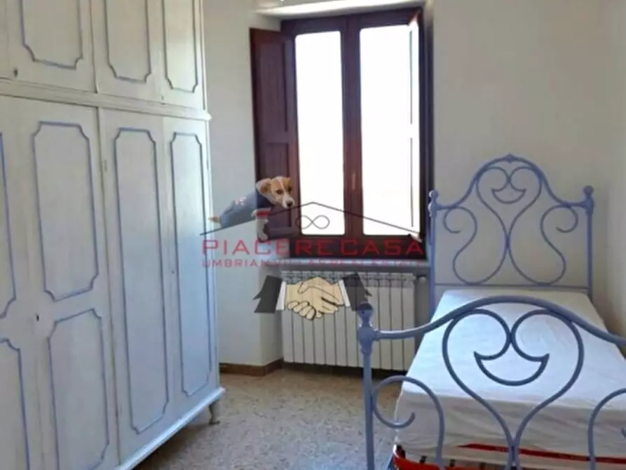 Immagine 3 di Casa indipendente in vendita  in Porano a Porano