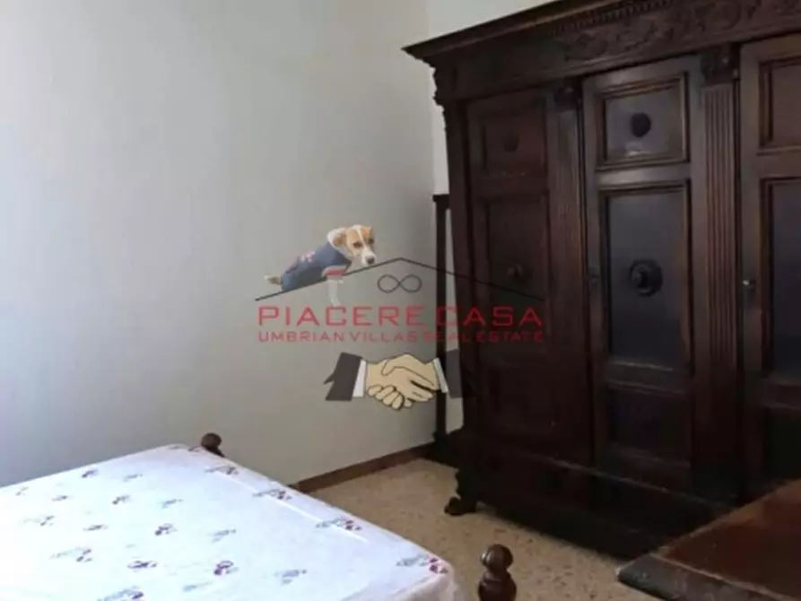 Immagine 6 di Casa indipendente in vendita  in Porano a Porano