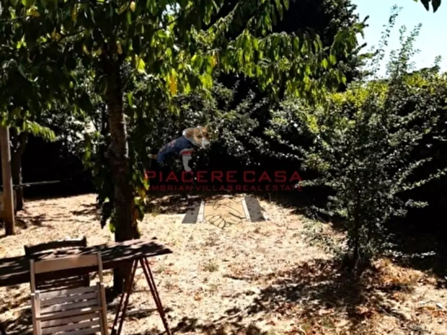 Immagine 9 di Casa indipendente in vendita  in Porano a Porano