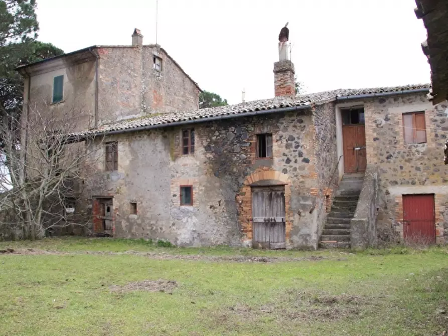 Immagine 22 di Rustico / casale in vendita  in castel giorgio a Castel Giorgio