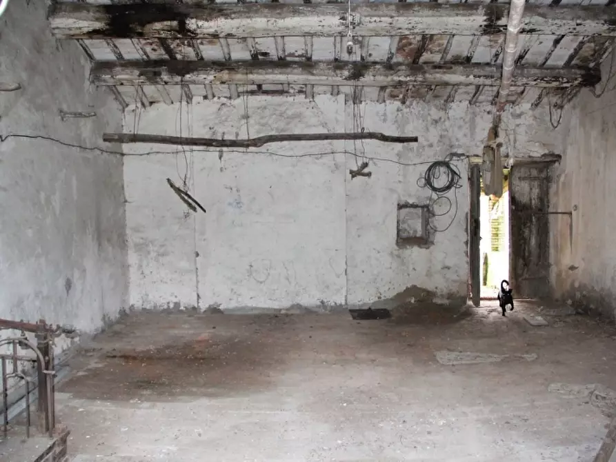 Immagine 37 di Rustico / casale in vendita  in castel giorgio a Castel Giorgio