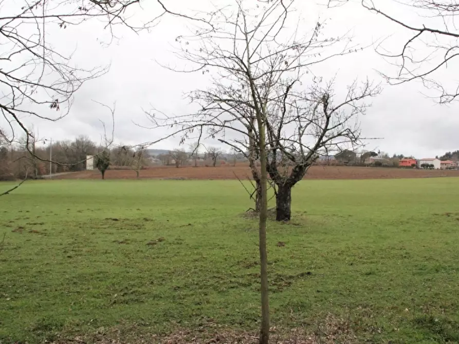 Immagine 20 di Rustico / casale in vendita  in castel giorgio a Castel Giorgio