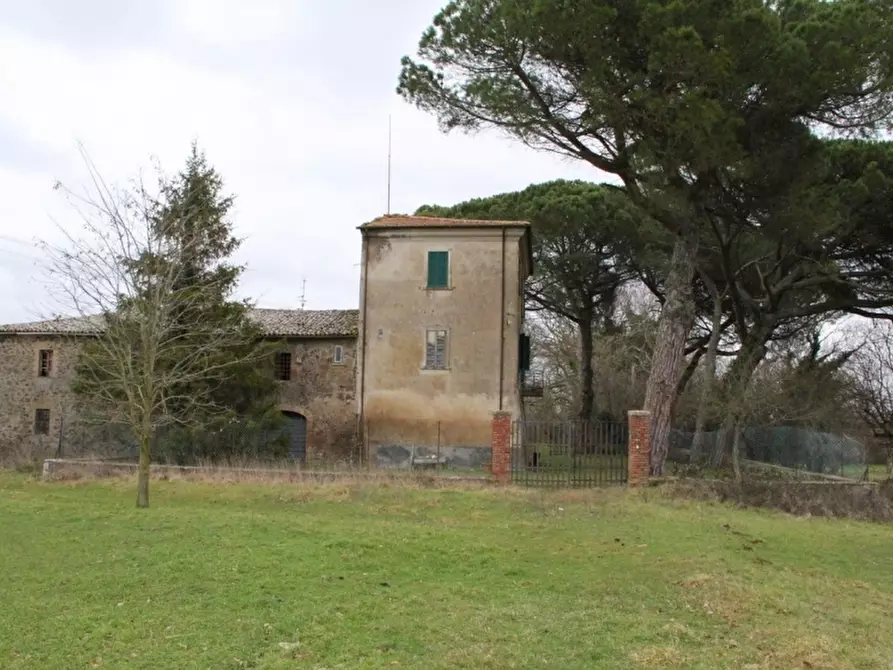 Immagine 21 di Rustico / casale in vendita  in castel giorgio a Castel Giorgio