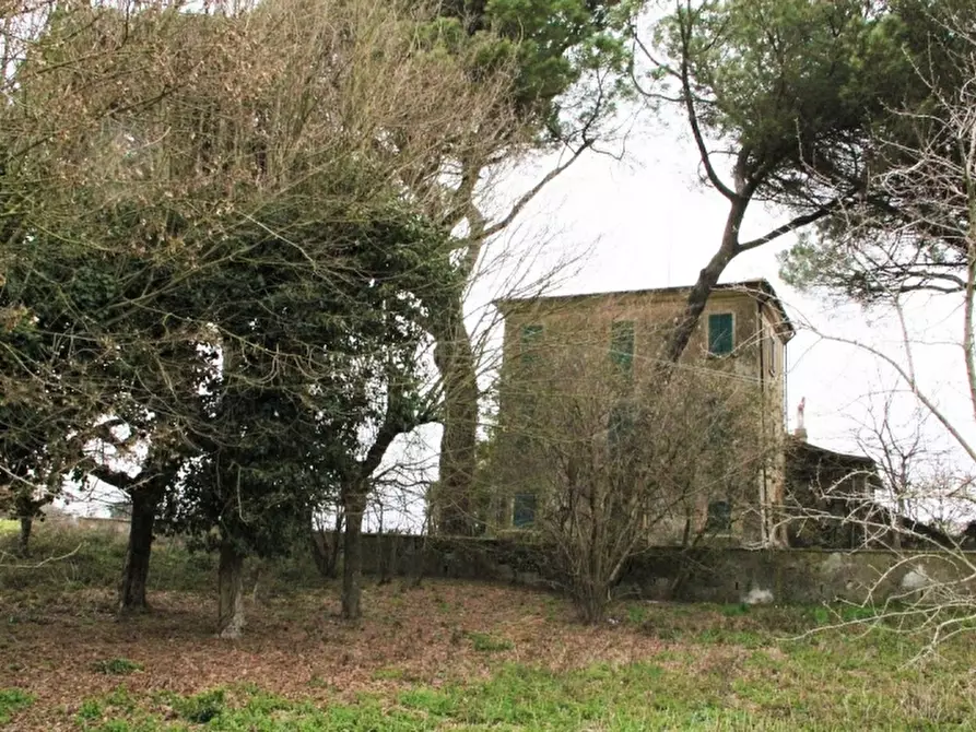 Immagine 23 di Rustico / casale in vendita  in castel giorgio a Castel Giorgio