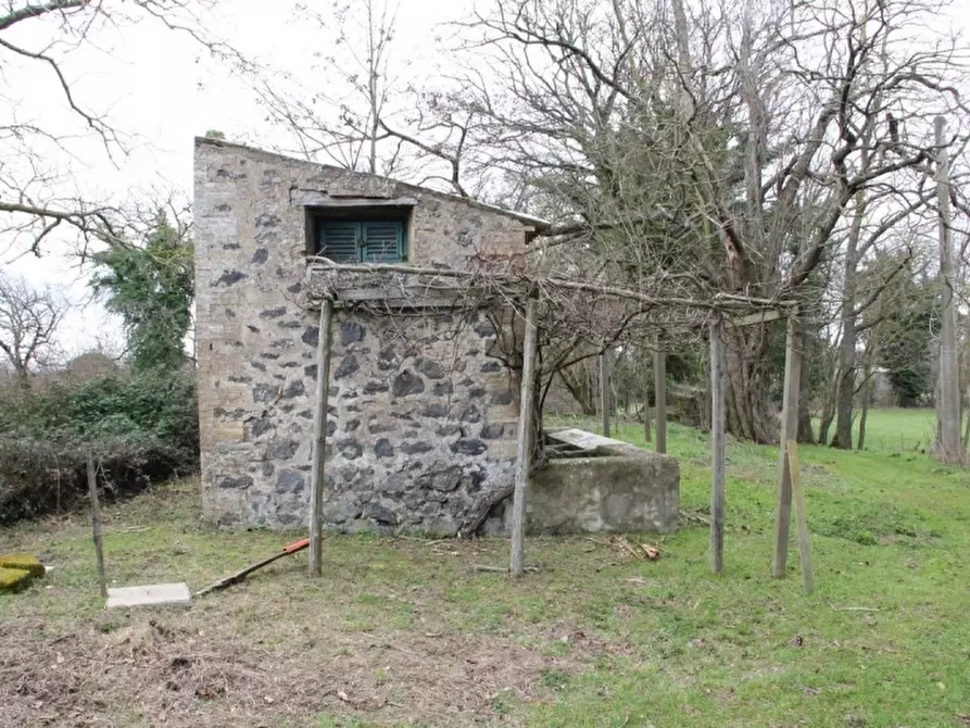 Immagine 24 di Rustico / casale in vendita  in castel giorgio a Castel Giorgio