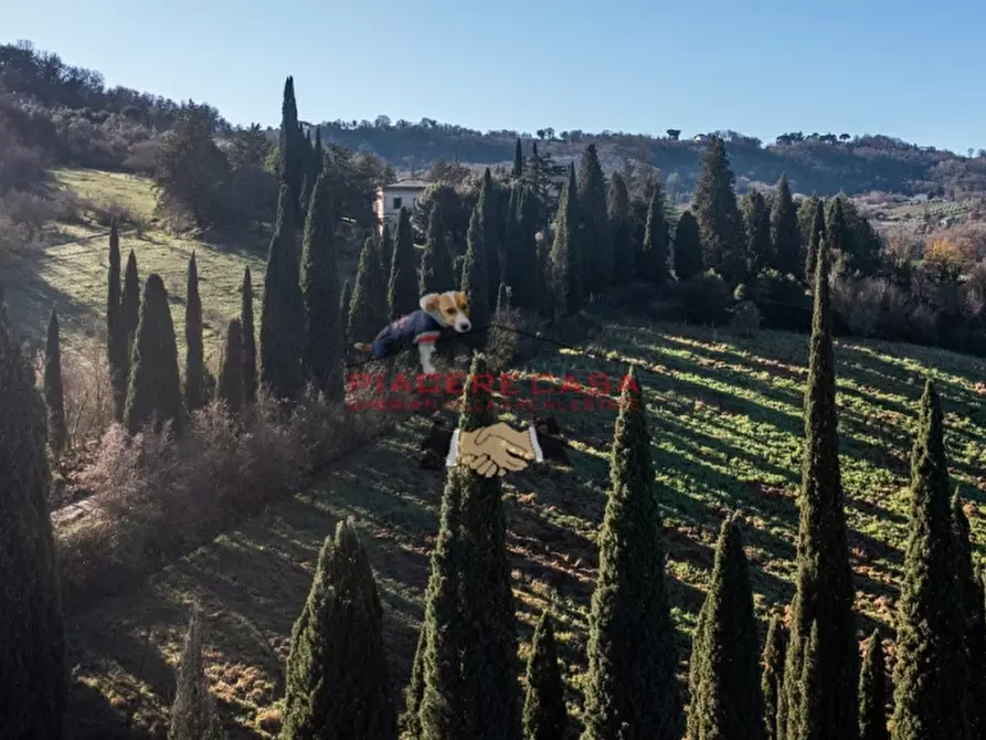 Immagine 4 di Villa in vendita  in - a Orvieto