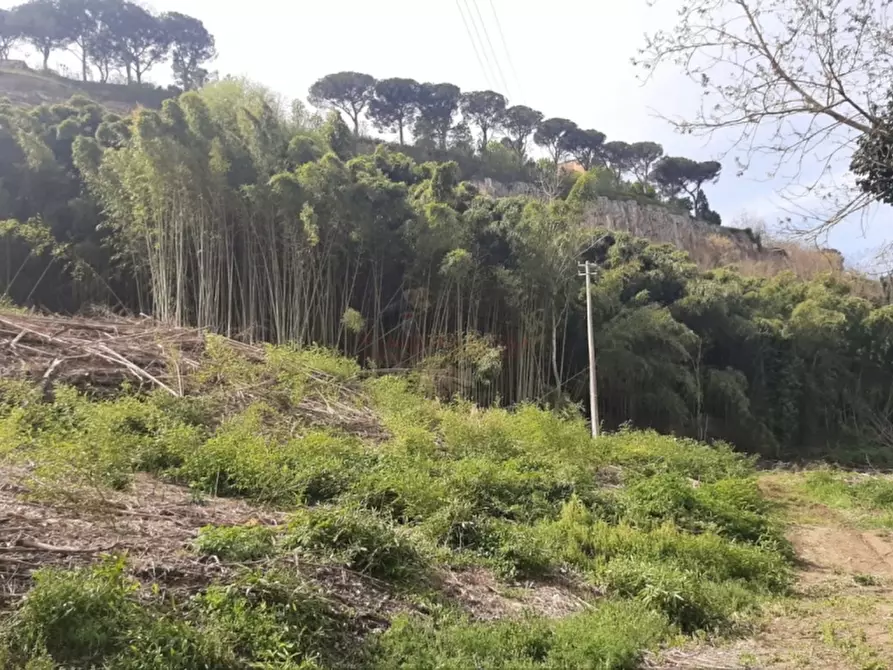 Immagine 15 di Rustico / casale in vendita  in Orvieto a Orvieto