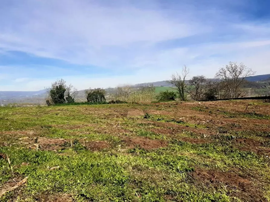 Immagine 18 di Rustico / casale in vendita  in Orvieto a Orvieto