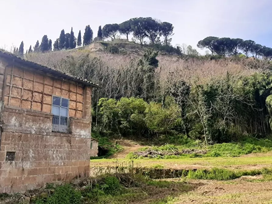 Immagine 19 di Rustico / casale in vendita  in Orvieto a Orvieto