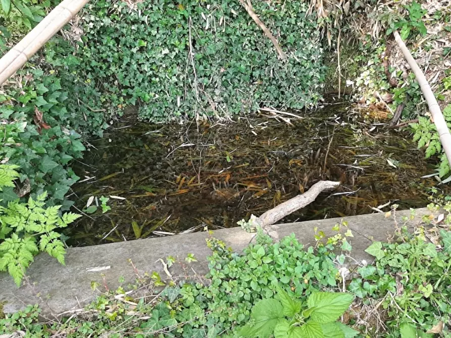 Immagine 21 di Rustico / casale in vendita  in Orvieto a Orvieto