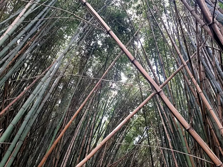 Immagine 22 di Rustico / casale in vendita  in Orvieto a Orvieto
