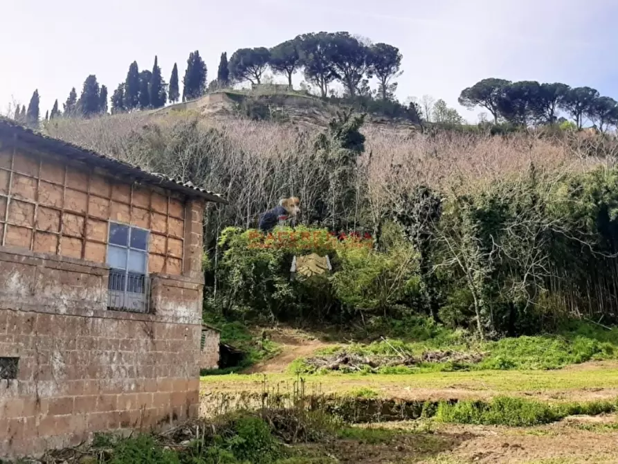 Immagine 7 di Rustico / casale in vendita  in Orvieto a Orvieto