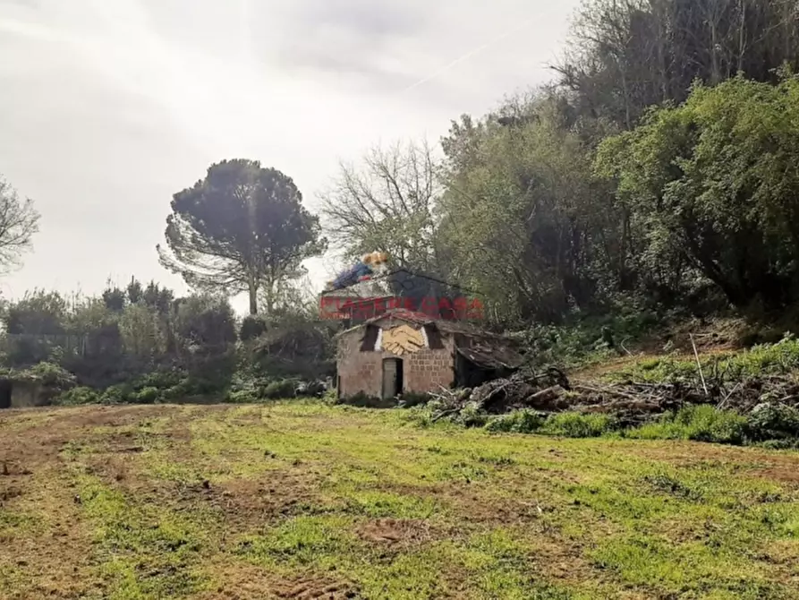 Immagine 9 di Rustico / casale in vendita  in Orvieto a Orvieto